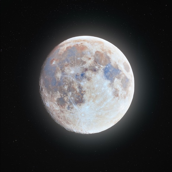 Meet your Posher, Wesley - Picture 1 of 1